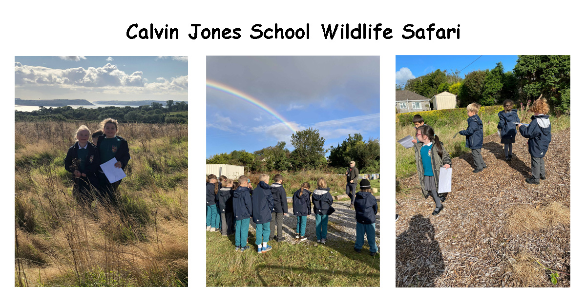 Calvin Jones – School Wildlife Safari